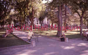 gallery-img