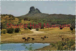 gallery-img